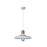 CLA Lighting Pastel Dome Shaped Pendant 